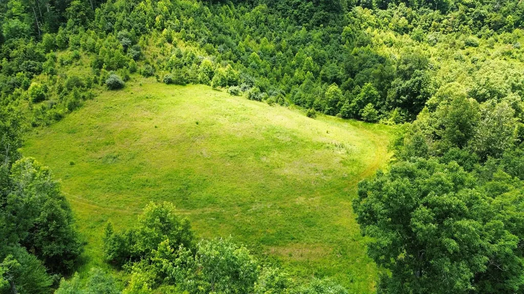 3800A Butcher Hollow Road Van Lear KY 41265
