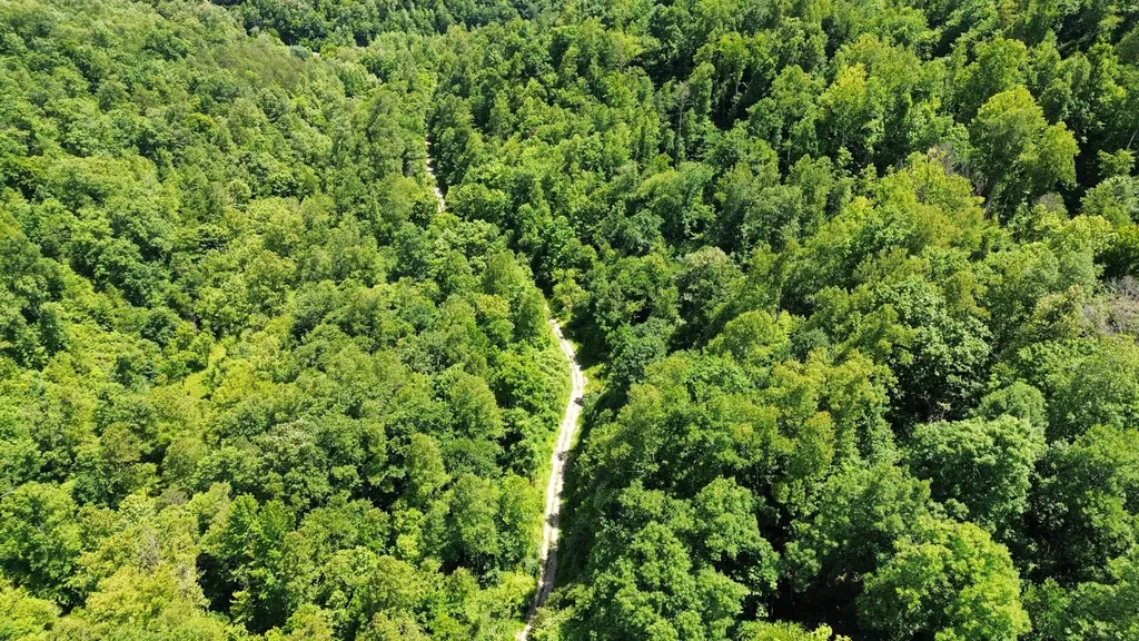 3800A Butcher Hollow Road Van Lear KY 41265