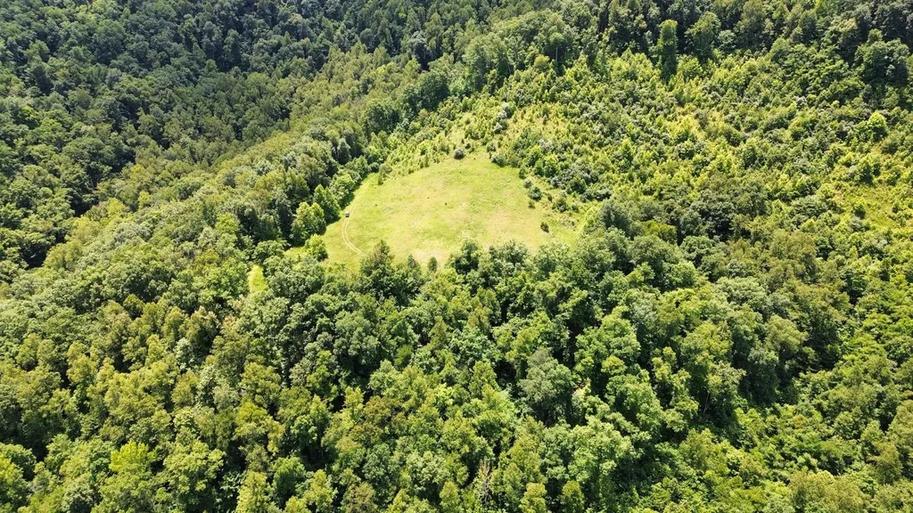 3800A Butcher Hollow Road Van Lear KY 41265