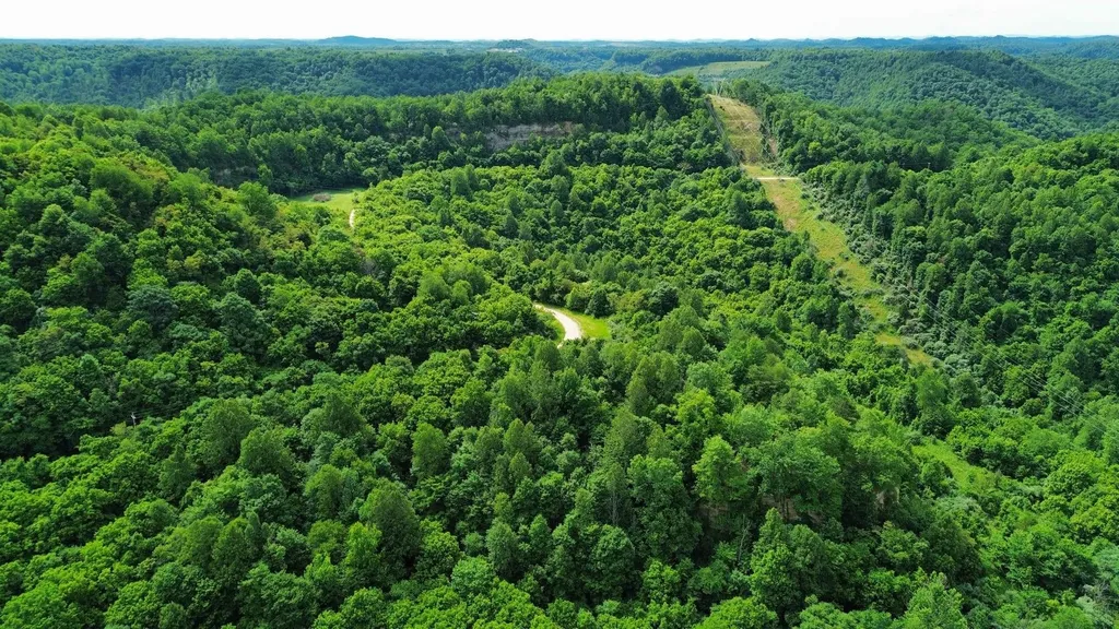3800A Butcher Hollow Road Van Lear KY 41265