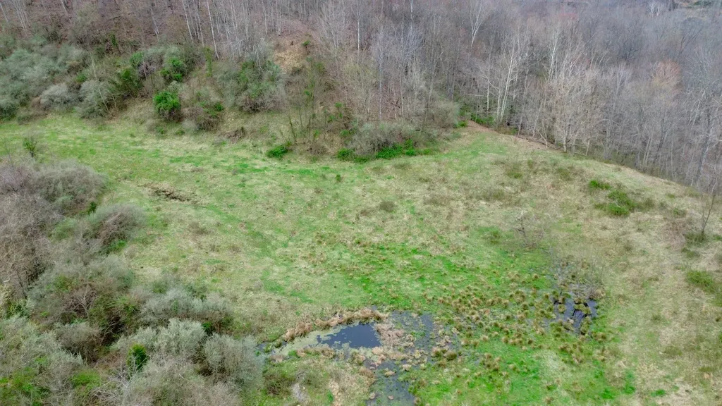 3800A Butcher Hollow Road Van Lear KY 41265