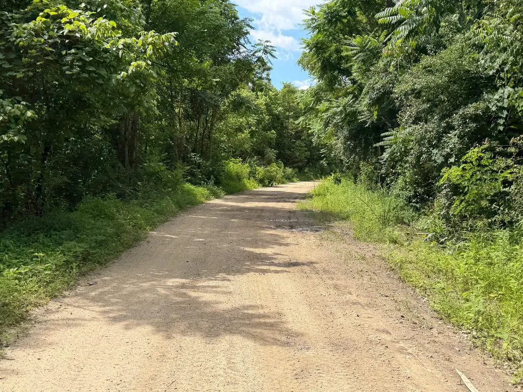 3800A Butcher Hollow Road Van Lear KY 41265
