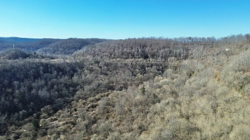 3800A Butcher Hollow Road Van Lear KY 41265