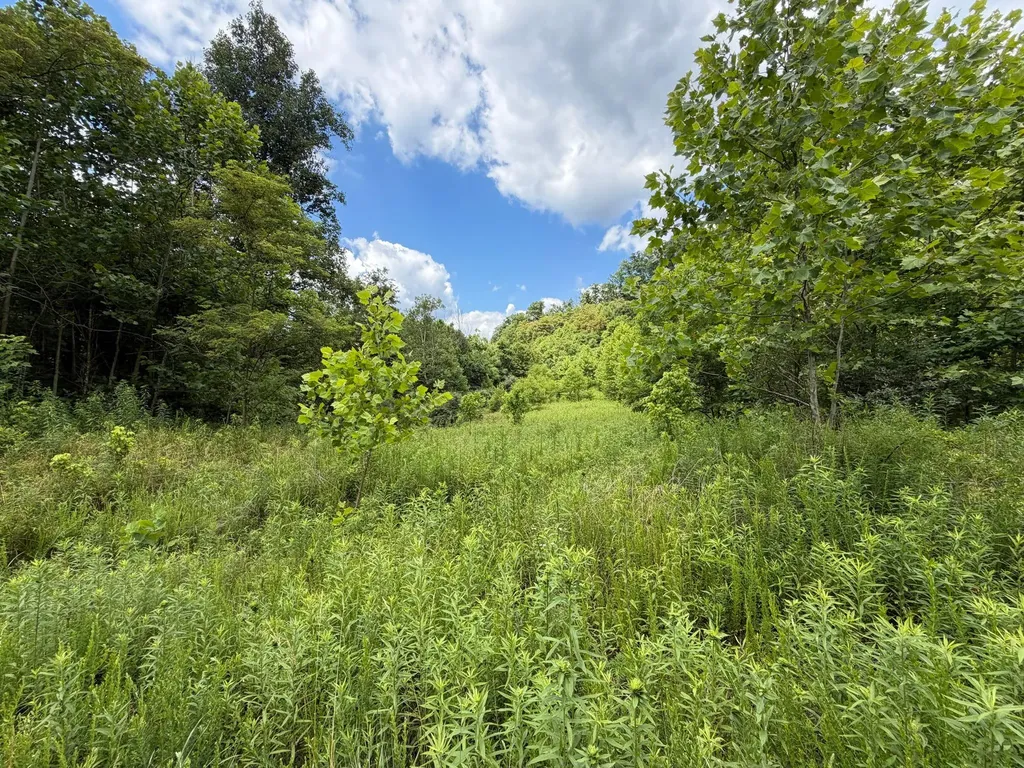 3800A Butcher Hollow Road Van Lear KY 41265