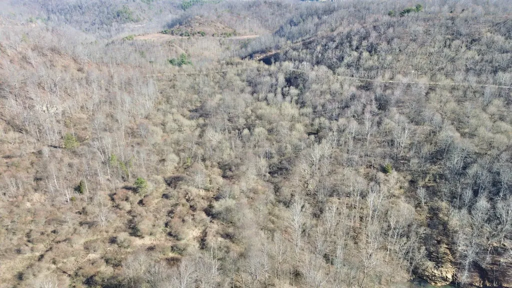 3800A Butcher Hollow Road Van Lear KY 41265