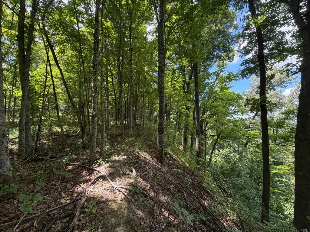 3800A Butcher Hollow Road Van Lear KY 41265