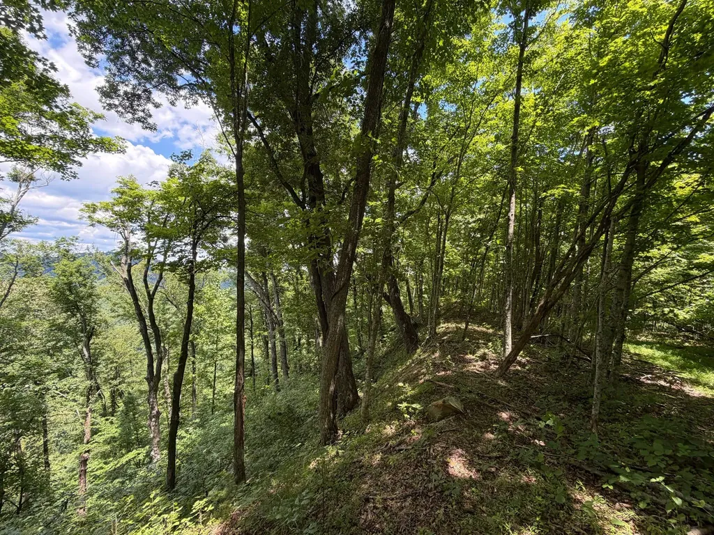 3800A Butcher Hollow Road Van Lear KY 41265