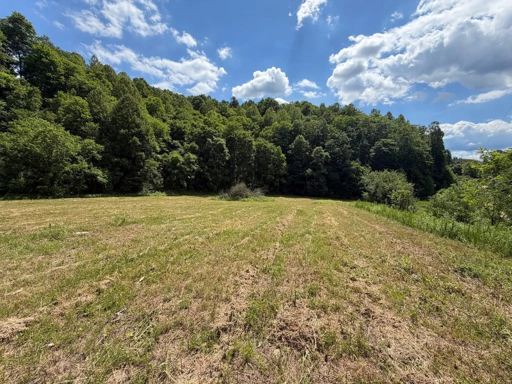 3800A Butcher Hollow Road Van Lear KY 41265