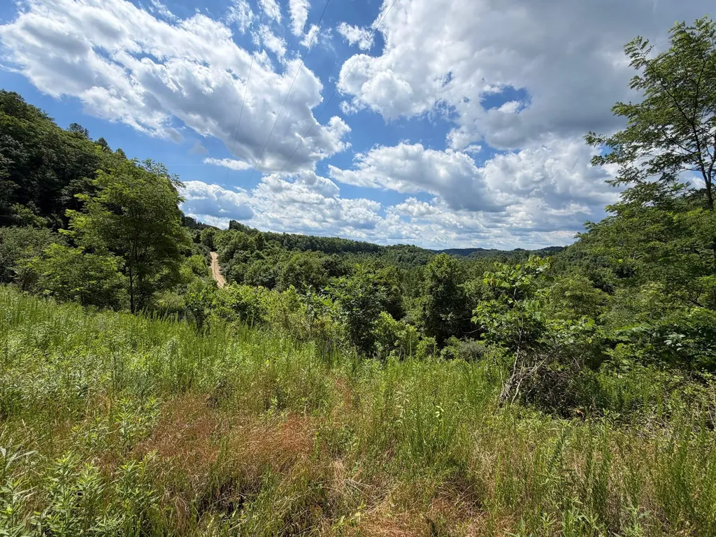 3800A Butcher Hollow Road Van Lear KY 41265