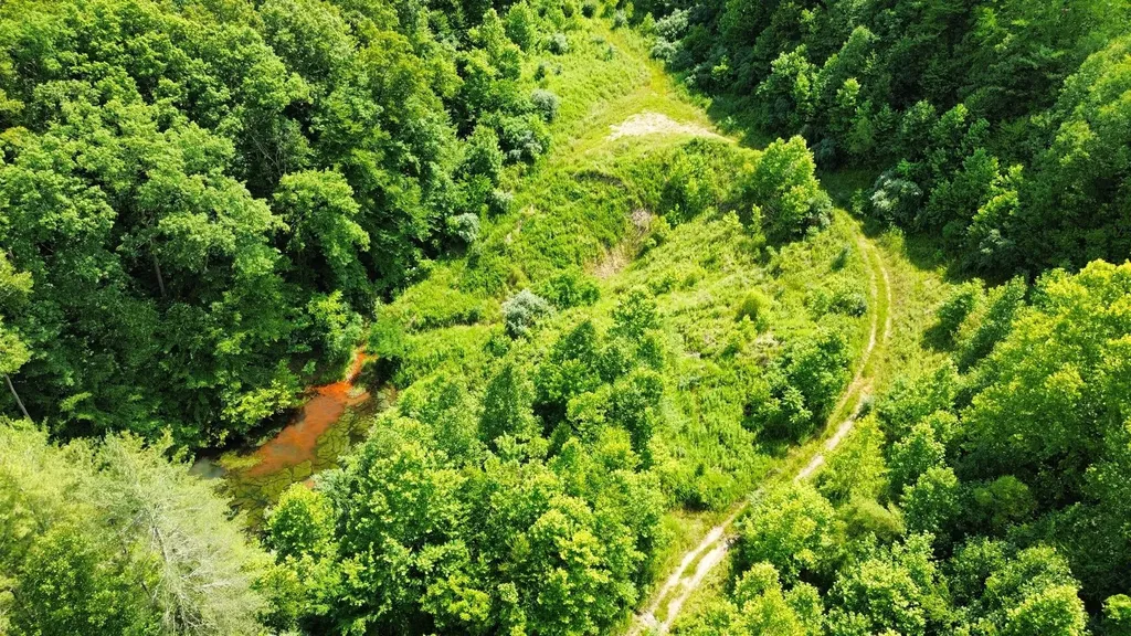 3800A Butcher Hollow Road Van Lear KY 41265