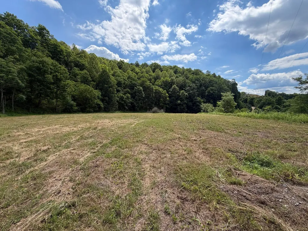 3800A Butcher Hollow Road Van Lear KY 41265