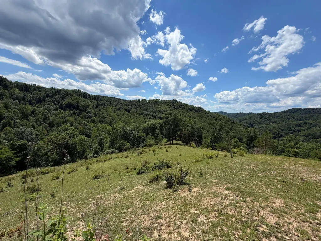 3800A Butcher Hollow Road Van Lear KY 41265