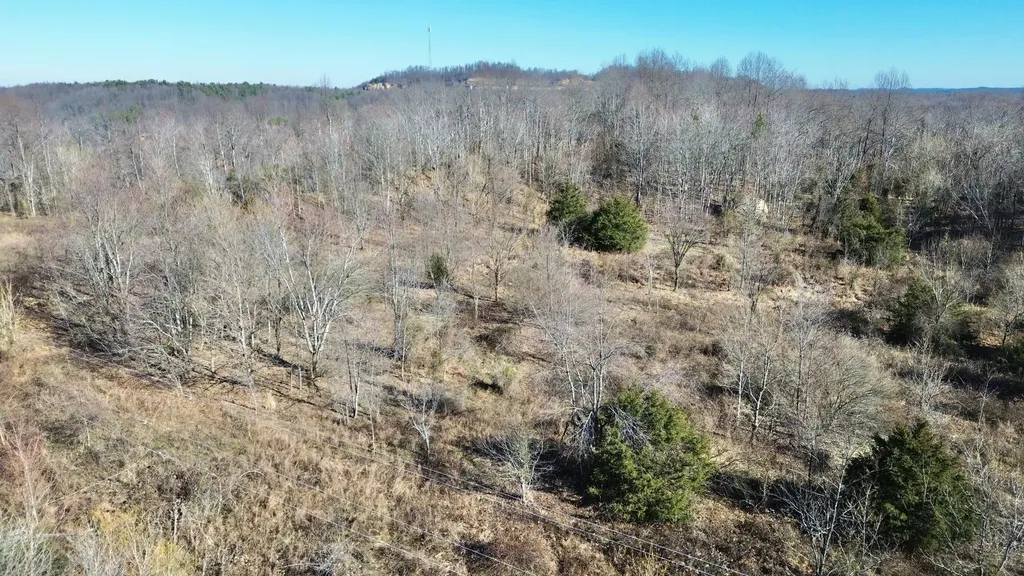 3800A Butcher Hollow Road Van Lear KY 41265