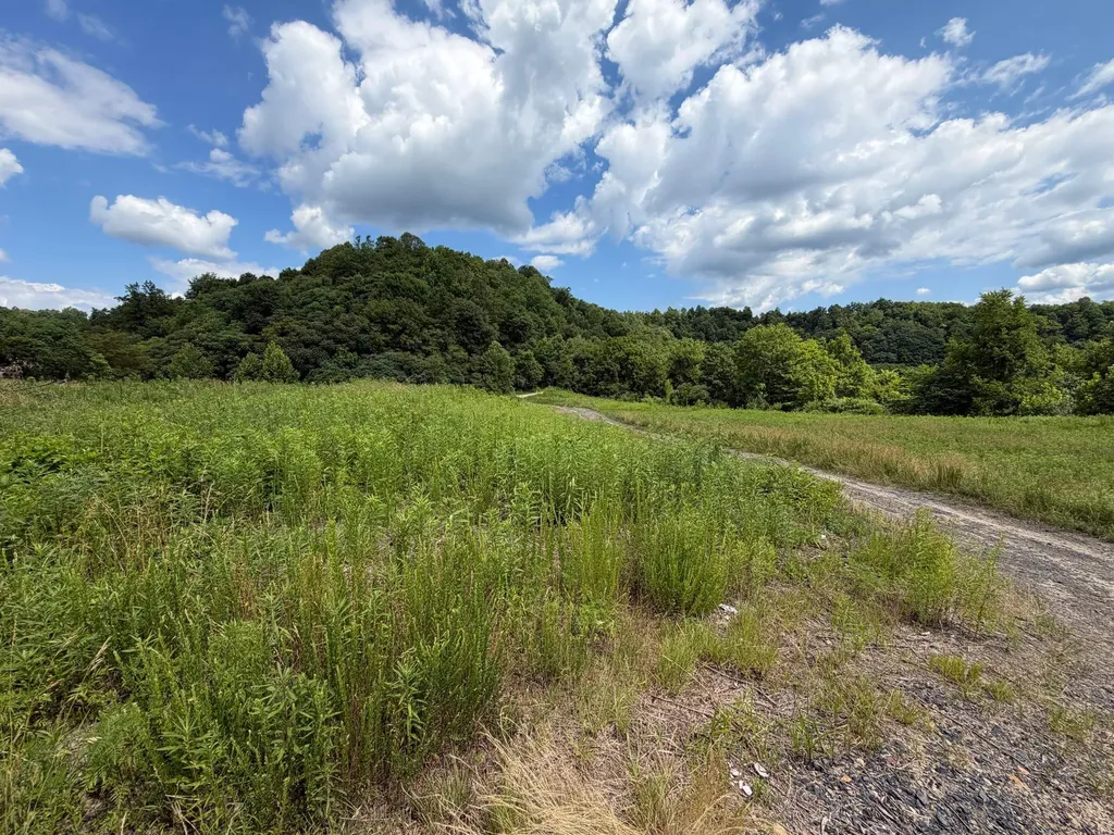 3800A Butcher Hollow Road Van Lear KY 41265