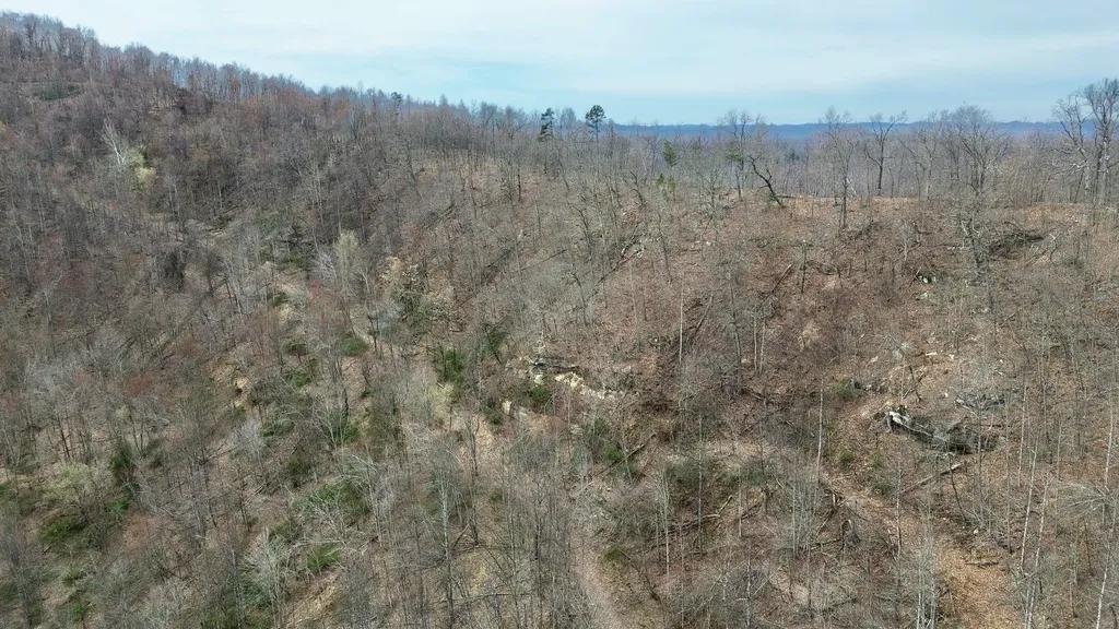3800A Butcher Hollow Road Van Lear KY 41265