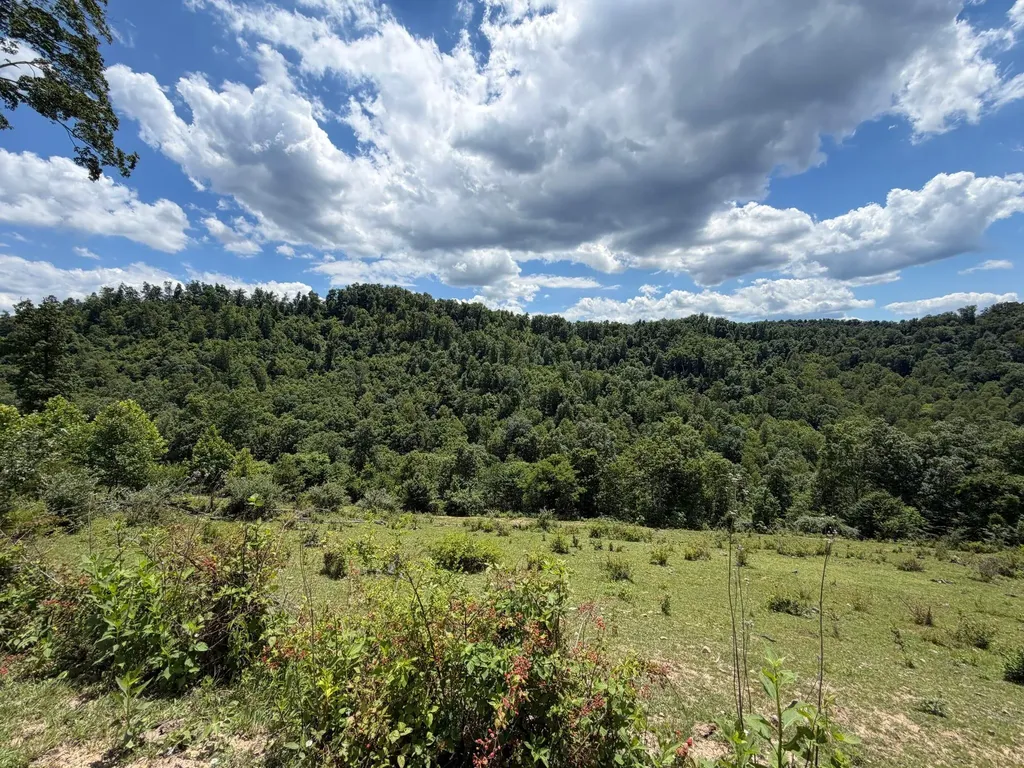 3800A Butcher Hollow Road Van Lear KY 41265