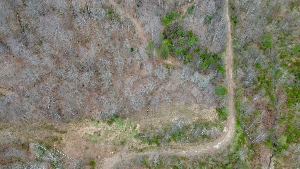 3800A Butcher Hollow Road Van Lear KY 41265