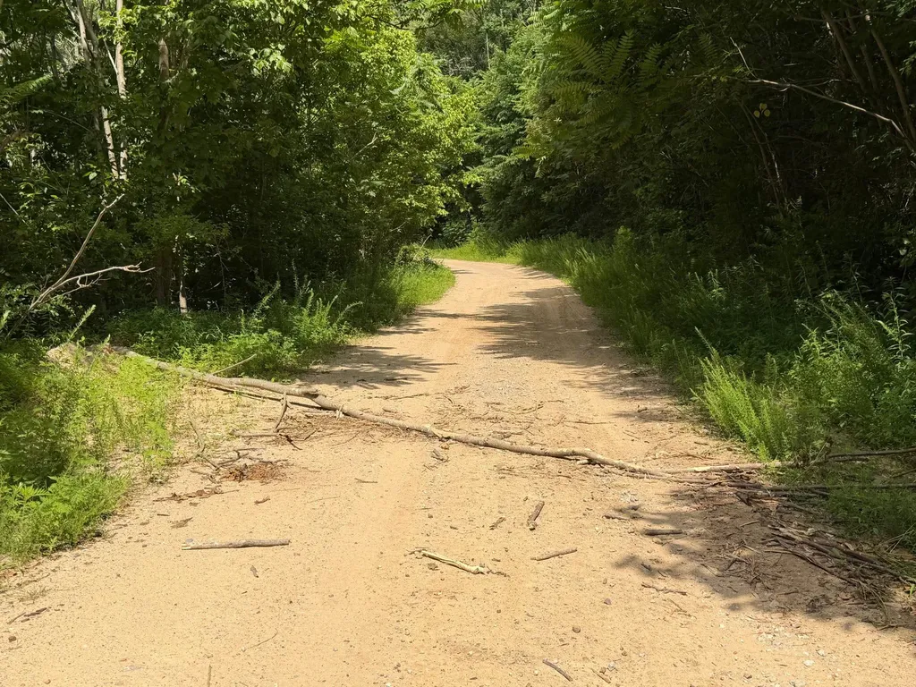 3800A Butcher Hollow Road Van Lear KY 41265