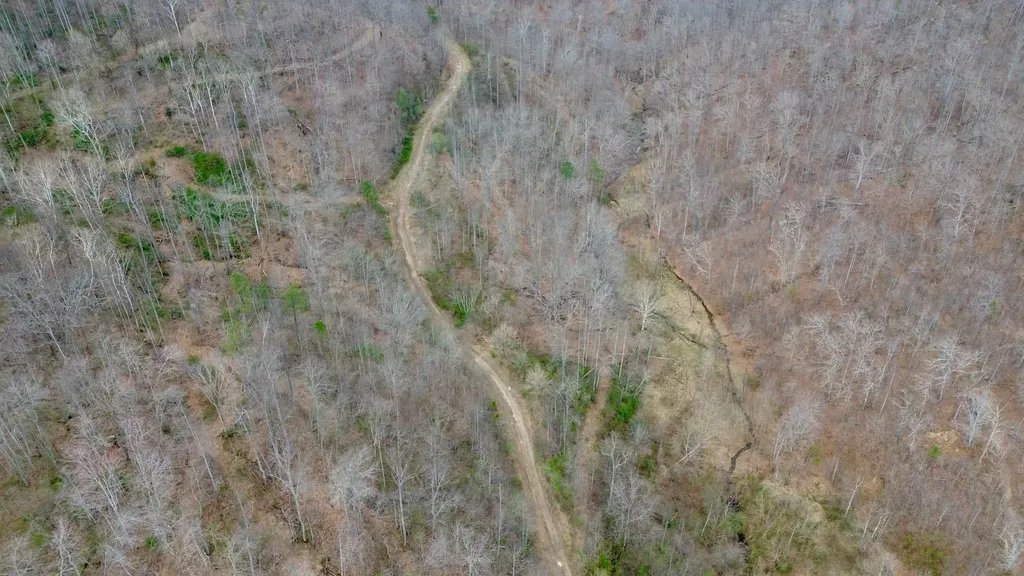 3800A Butcher Hollow Road Van Lear KY 41265