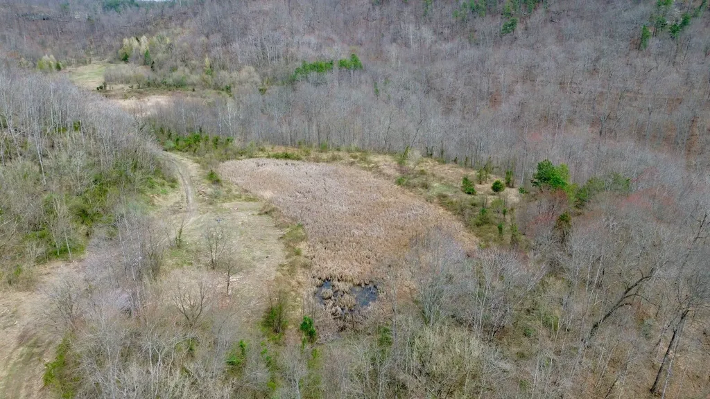 3800A Butcher Hollow Road Van Lear KY 41265