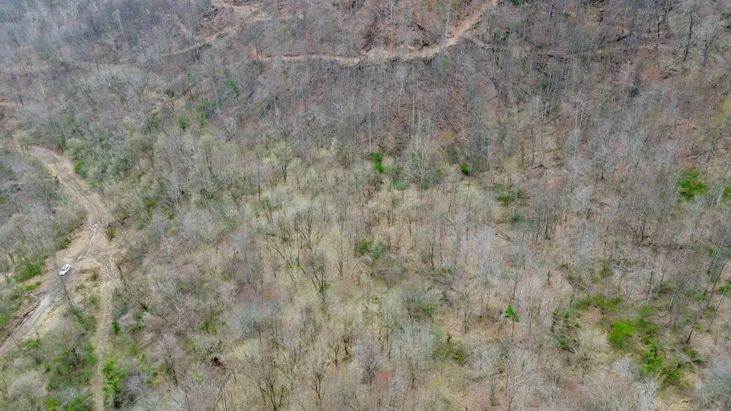 3800A Butcher Hollow Road Van Lear KY 41265