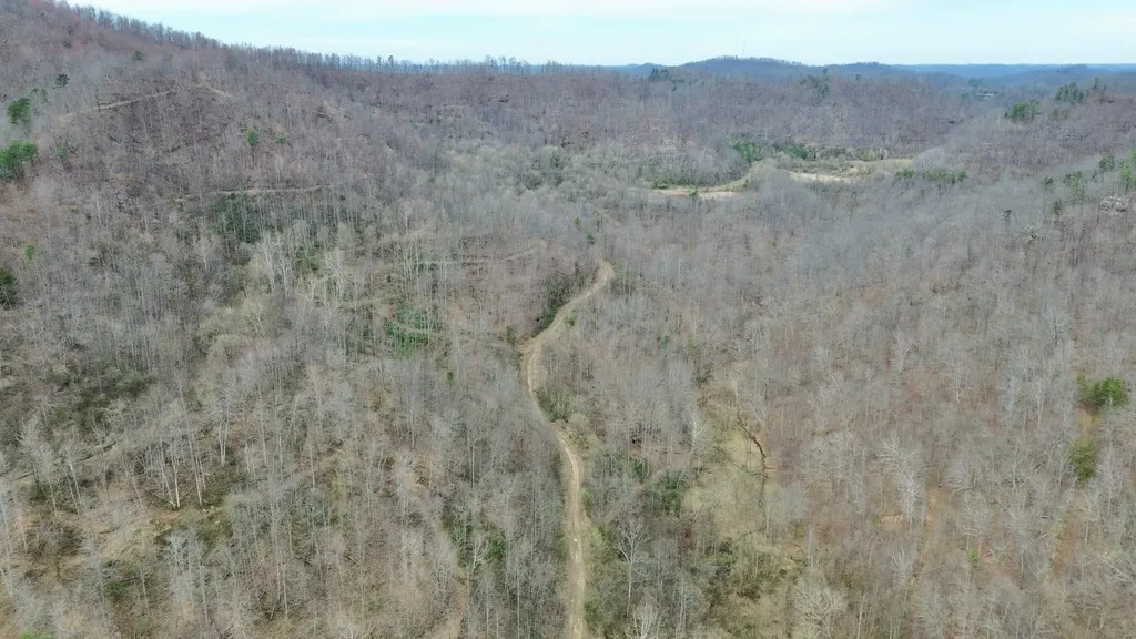 3800A Butcher Hollow Road Van Lear KY 41265