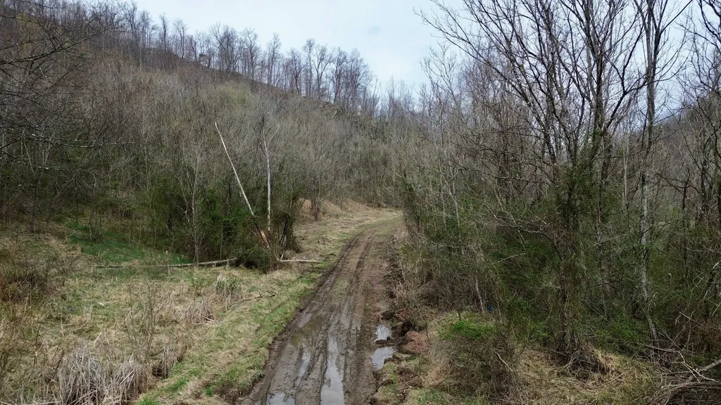 3800A Butcher Hollow Road Van Lear KY 41265