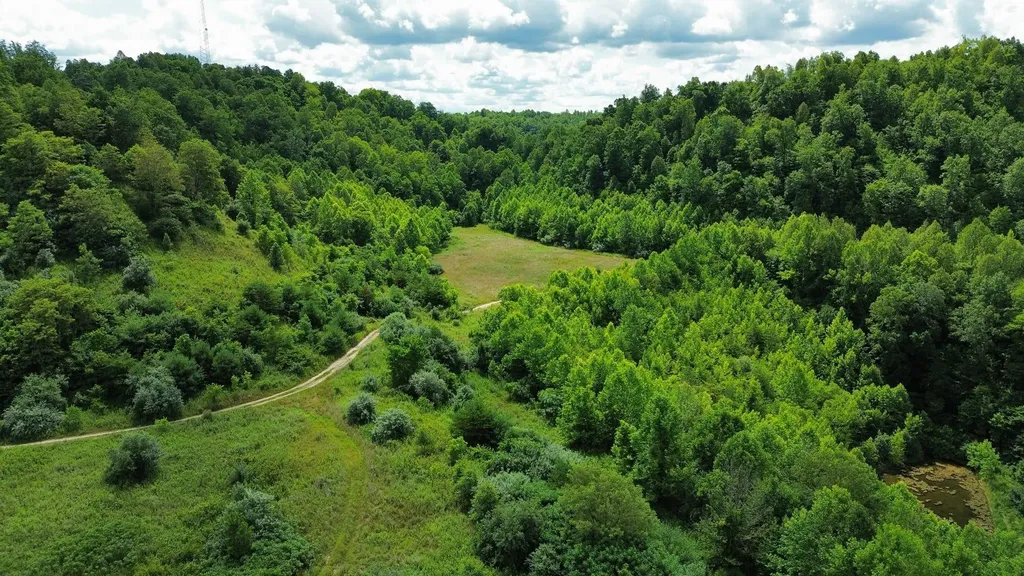3800A Butcher Hollow Road Van Lear KY 41265