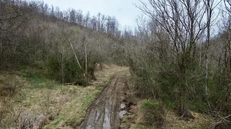 3800A Butcher Hollow Road Van Lear KY 41265