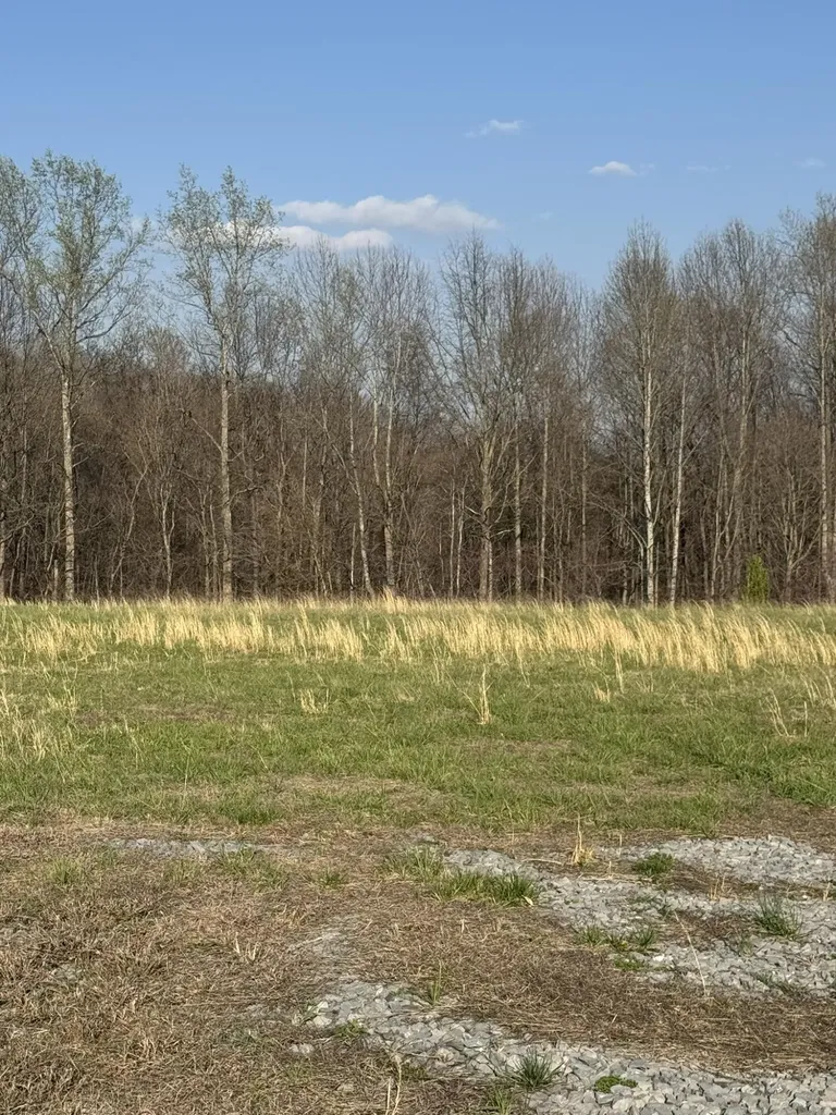 3136 Parks Ridge Road Russell Springs KY 42642