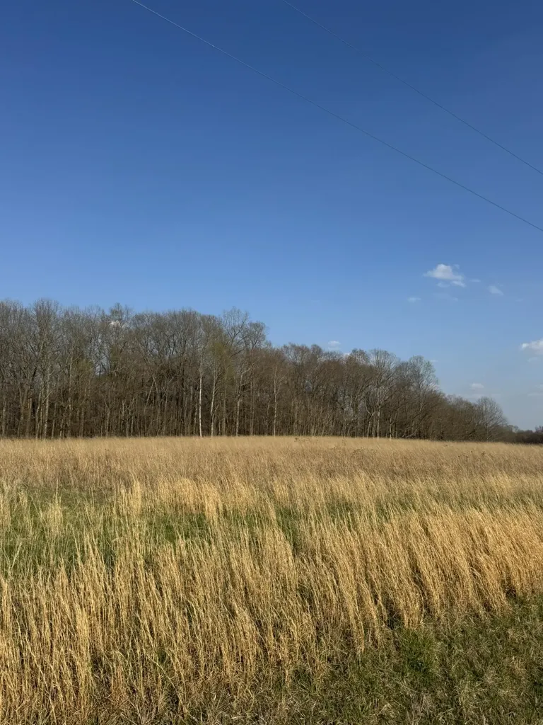 3136 Parks Ridge Road Russell Springs KY 42642