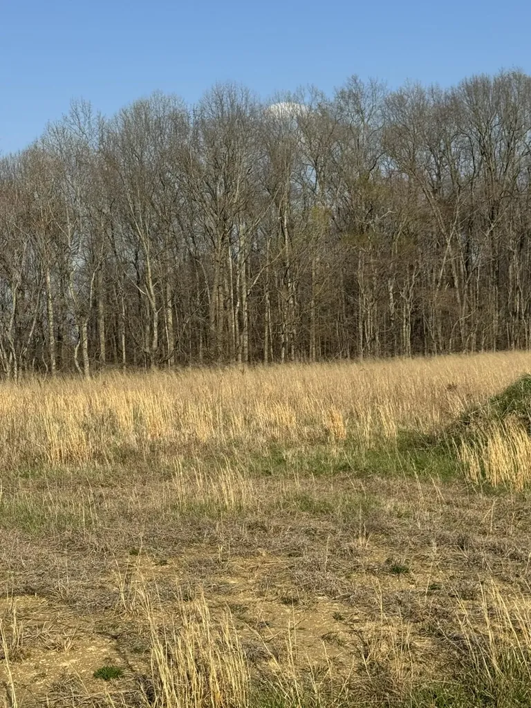 3164 Parks Ridge Road Russell Springs KY 42642