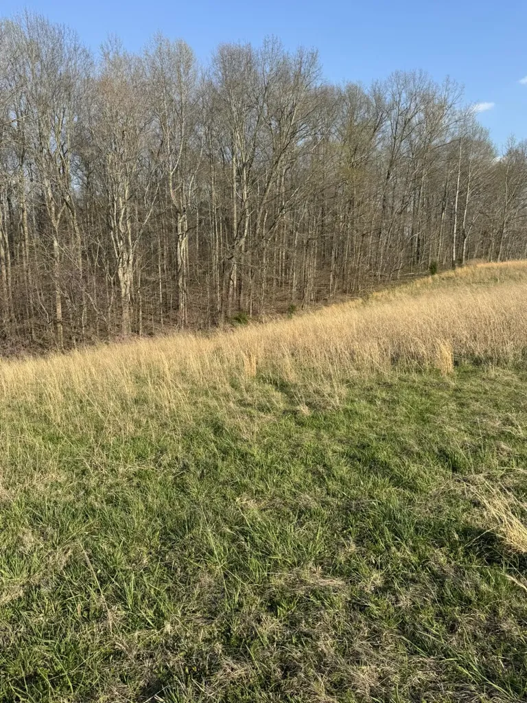 3164 Parks Ridge Road Russell Springs KY 42642