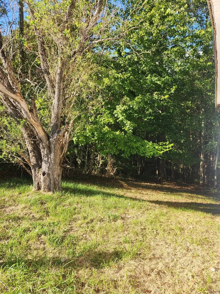 1889 Oak Ridge Church Road Corbin KY 40701