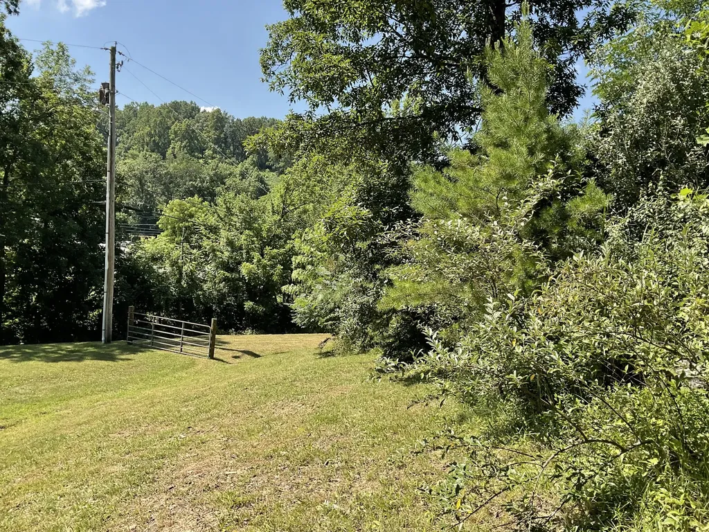 61 Blevins Hollow Olive Hill KY 41164