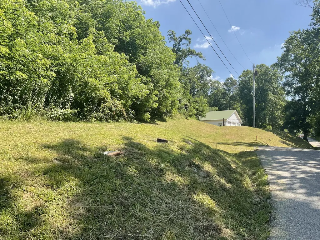 61 Blevins Hollow Olive Hill KY 41164