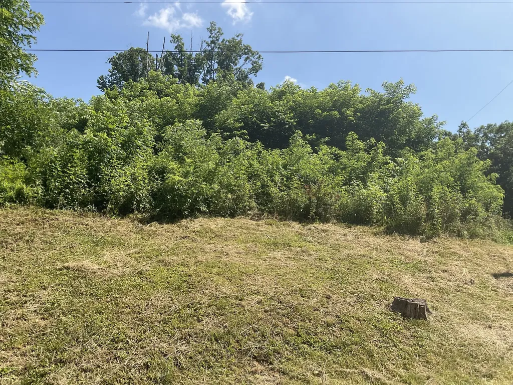 61 Blevins Hollow Olive Hill KY 41164