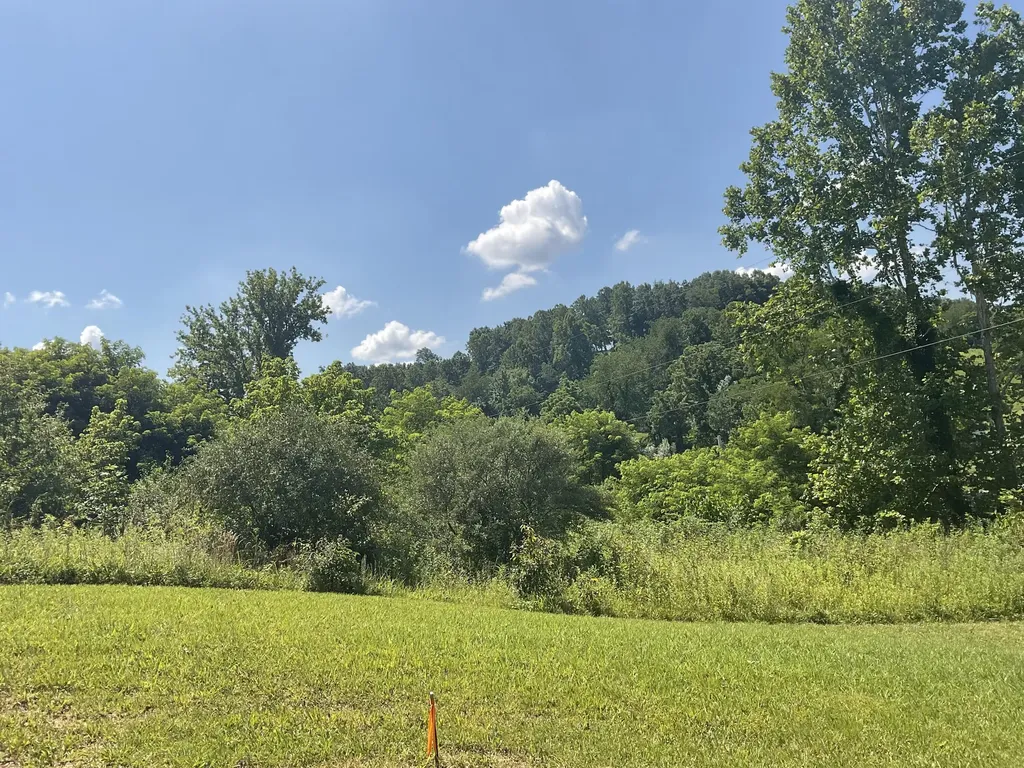 61 Blevins Hollow Olive Hill KY 41164
