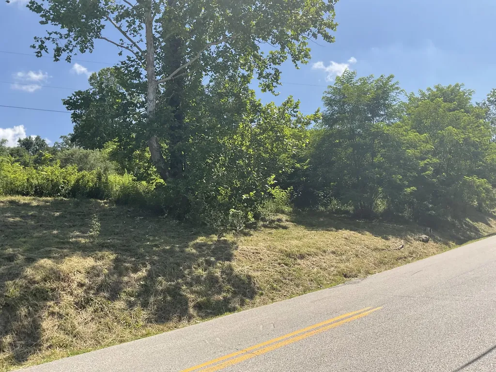 61 Blevins Hollow Olive Hill KY 41164