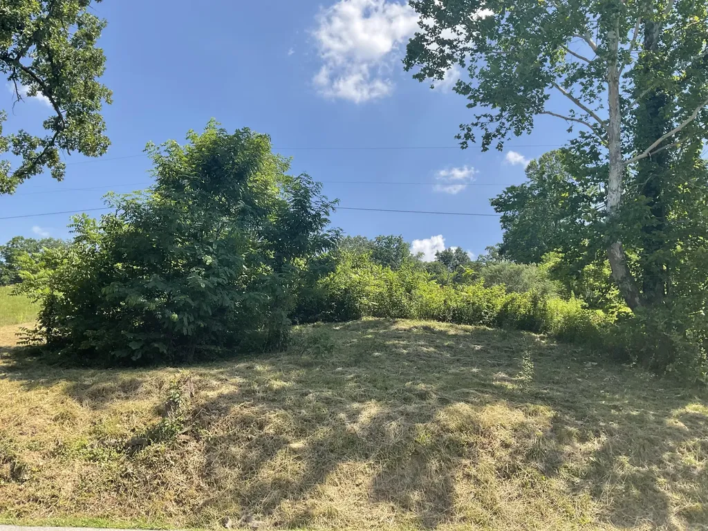 61 Blevins Hollow Olive Hill KY 41164