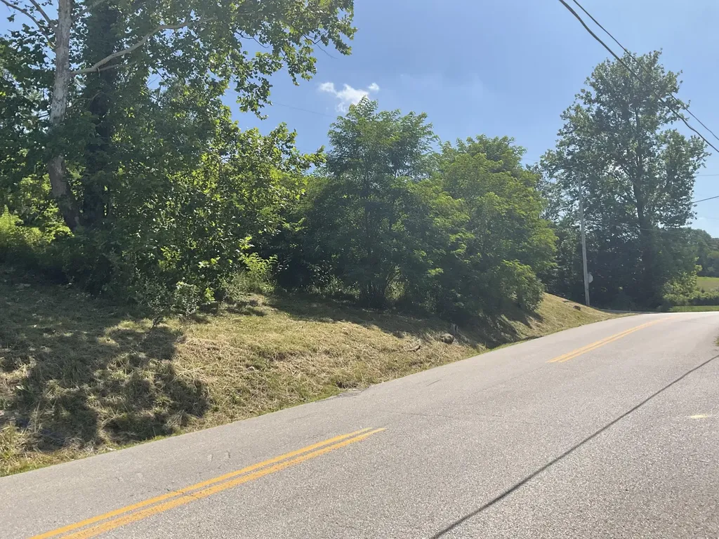 61 Blevins Hollow Olive Hill KY 41164