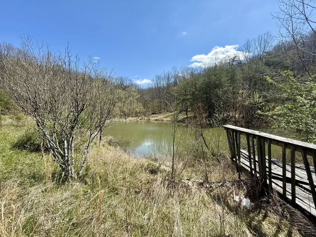 1870 Seas Branch Road Morehead KY 40351
