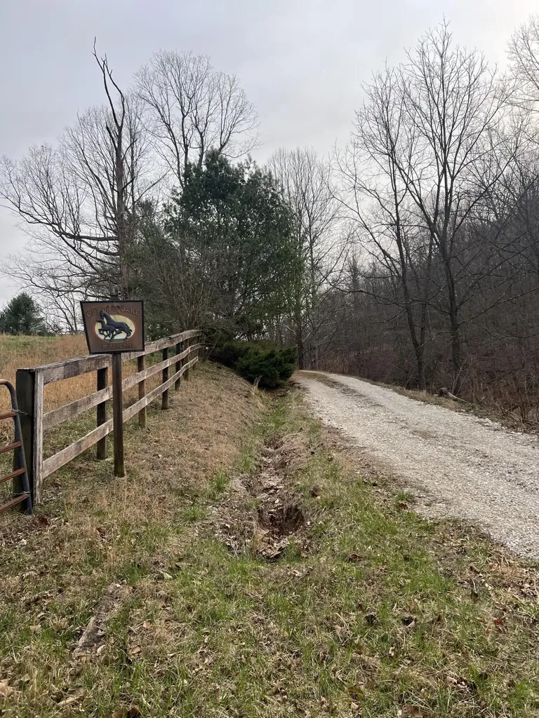 1870 Seas Branch Road Morehead KY 40351