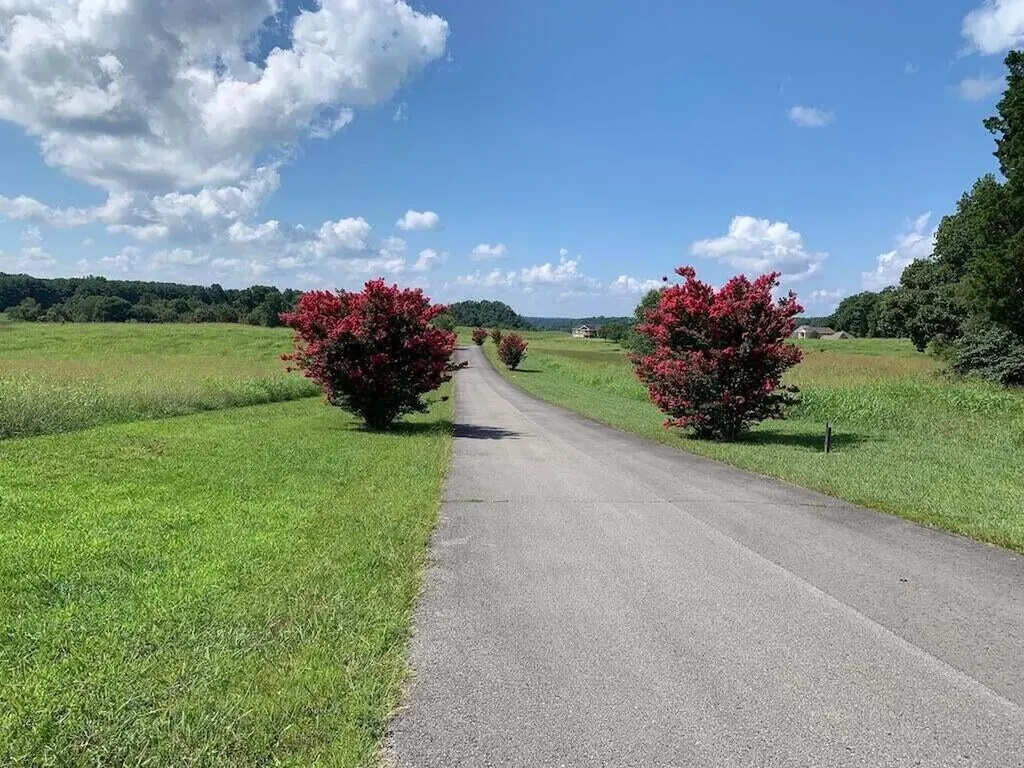 41 Beacon Street Russell Springs KY 42642