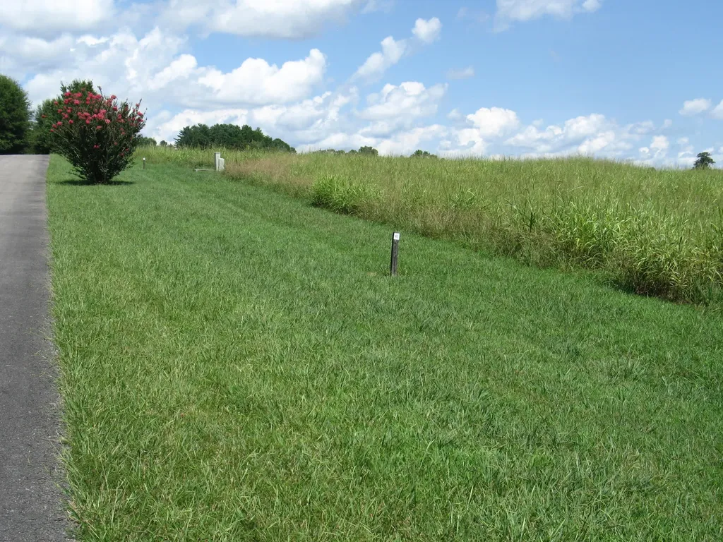 41 Beacon Street Russell Springs KY 42642