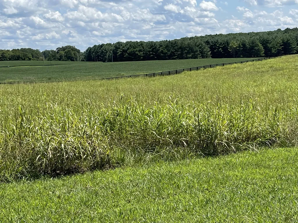41 Beacon Street Russell Springs KY 42642