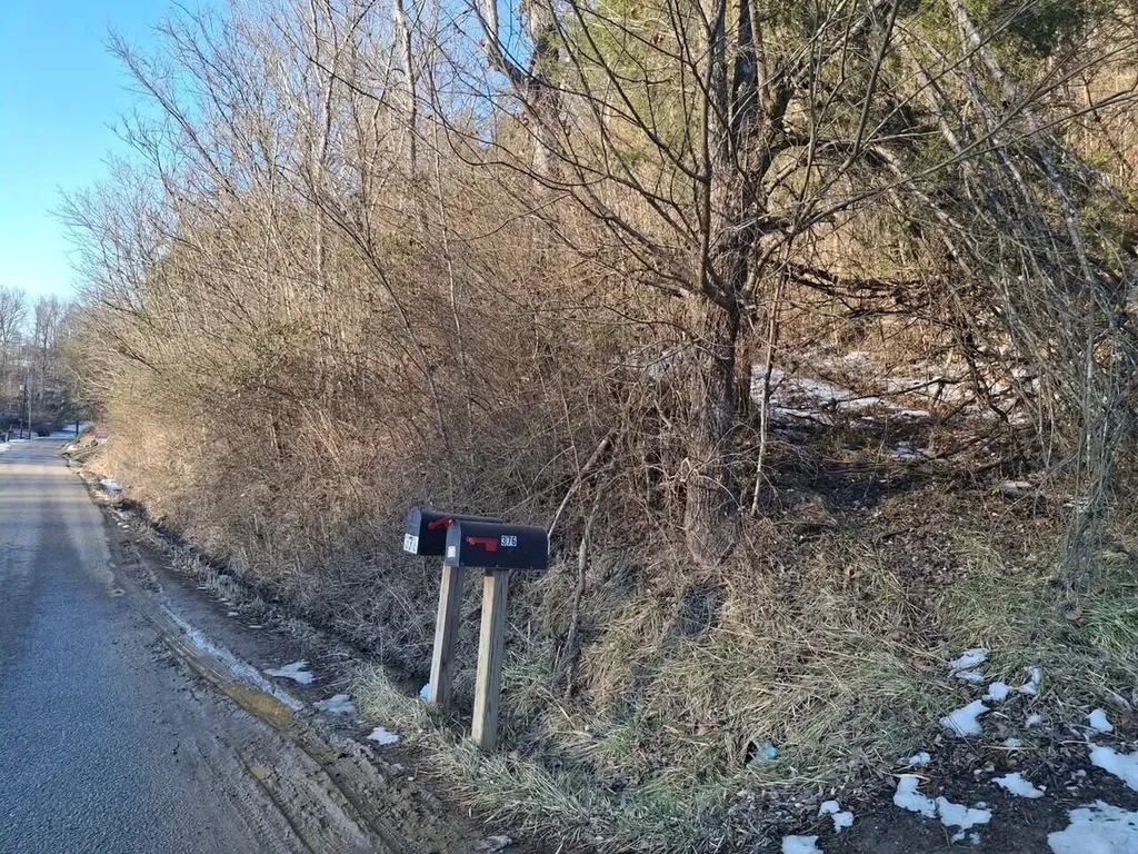 00 Salyers Hill (db 494 Pg 28) Staffordsville KY 41256