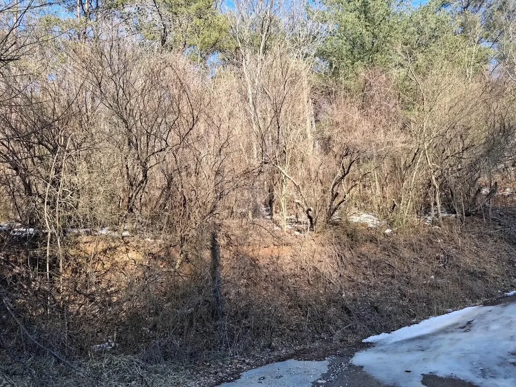00 Salyers Hill (db 494 Pg 28) Staffordsville KY 41256