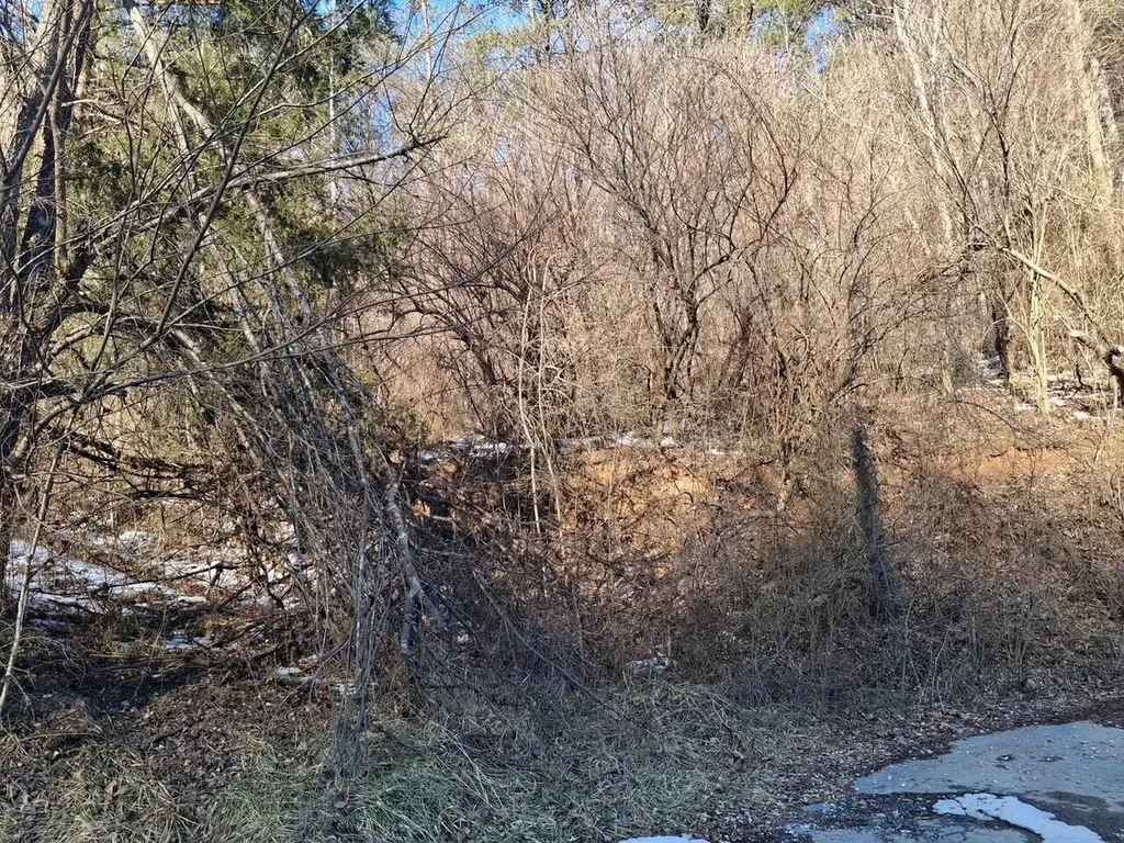 00 Salyers Hill (db 494 Pg 28) Staffordsville KY 41256