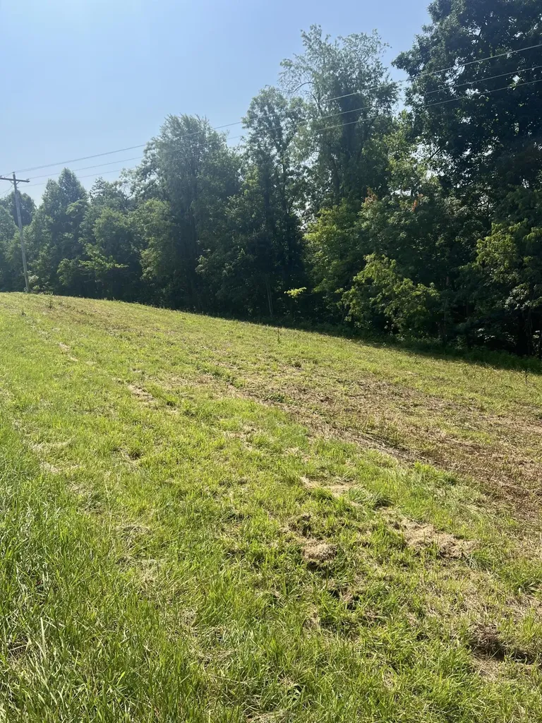 9999 Highway 2004 Mckee KY 40447